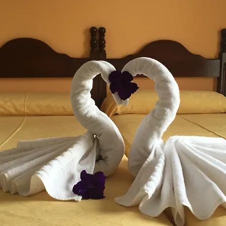 Carmen Teresa Hotel Torremolinos