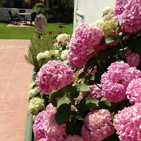 Hotel Carmen Teresa