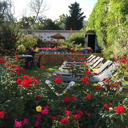 Carmen Teresa Torremolinos