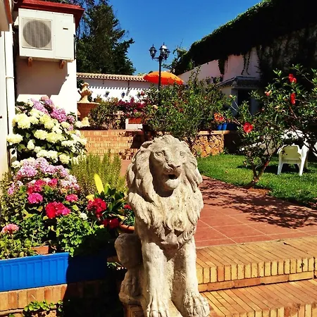 Carmen Teresa Hotel Torremolinos